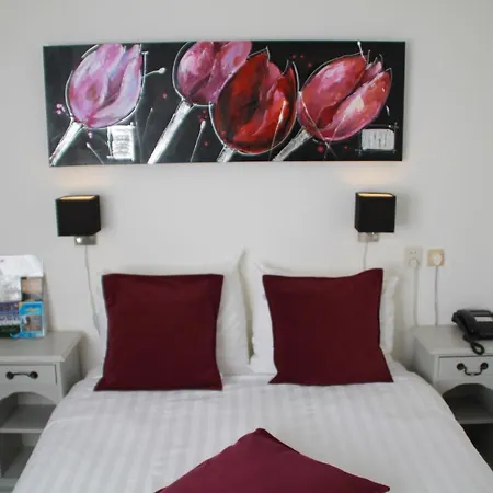 De Doelen Otel 3*